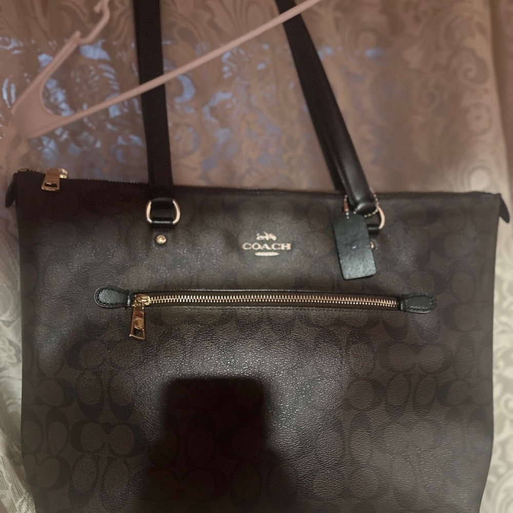 Coach Signature Tote Bag (signature canvas)